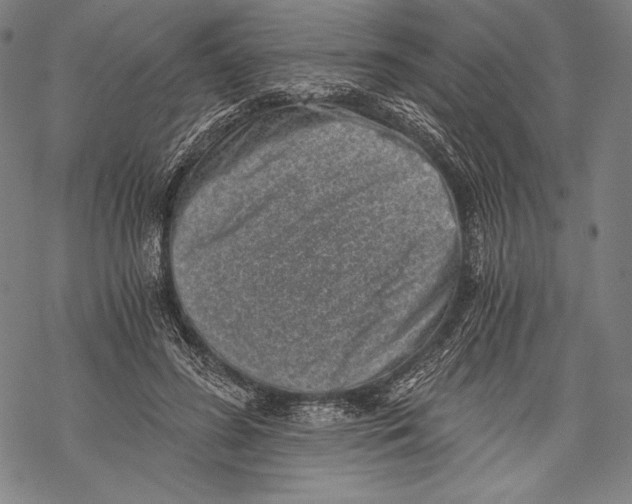 X0000068750596200605191600