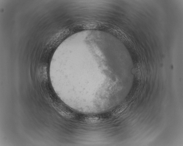 X0000068750598200605191600