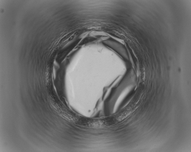 X0000068750600200605191600
