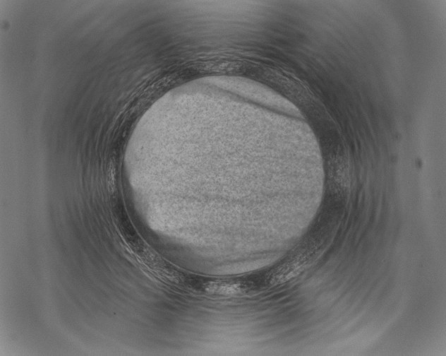 X0000068750602200605191600