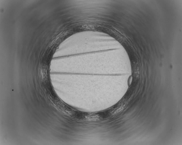 X0000068750603200605191600