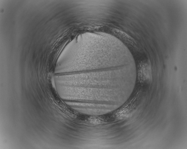 X0000068750608200605191600