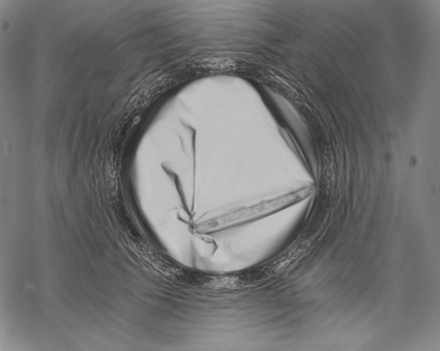 X0000068750609200605191600