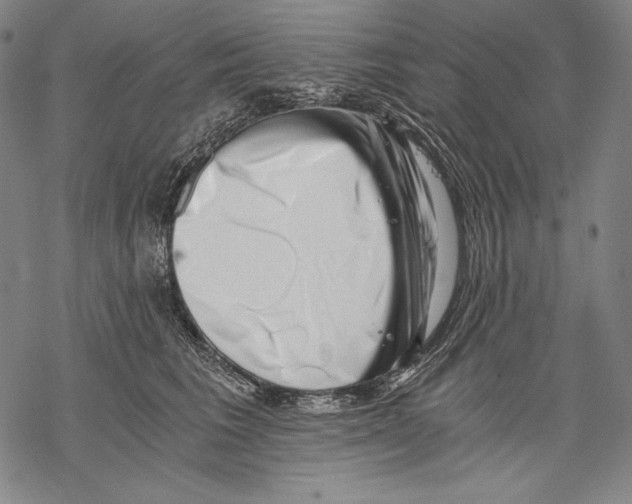 X0000068750613200605191600