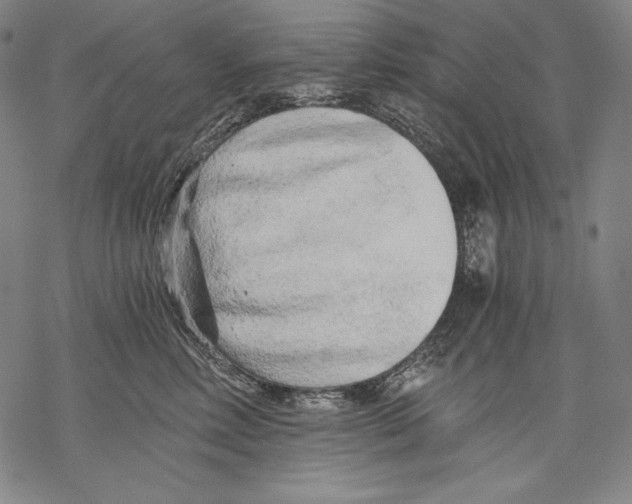 X0000068750618200605191600