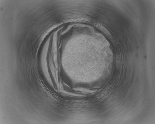 X0000068750628200605191559