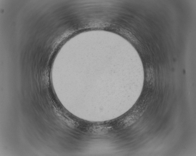 X0000068750632200605191559