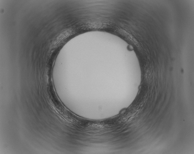 X0000068750635200605191559