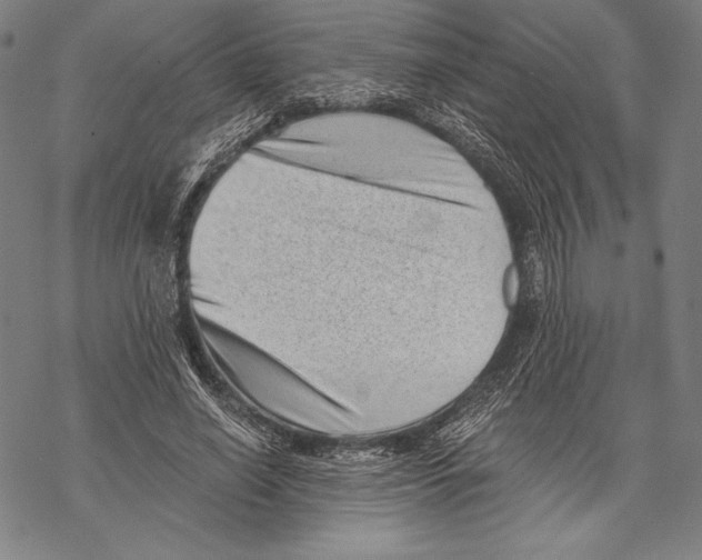 X0000068750638200605191559