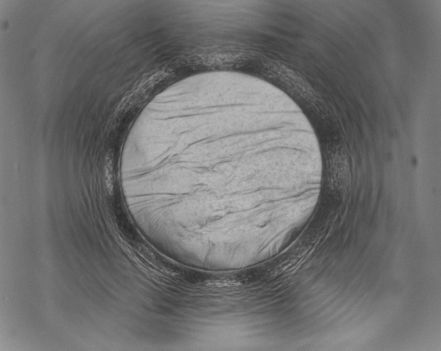 X0000068750644200605191559