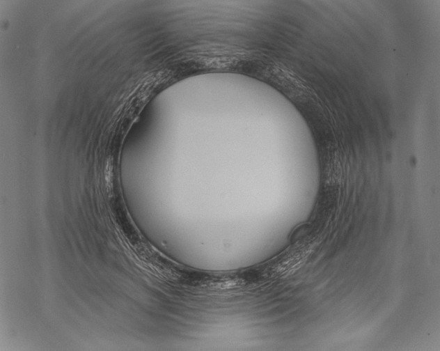 X0000068750646200605191559