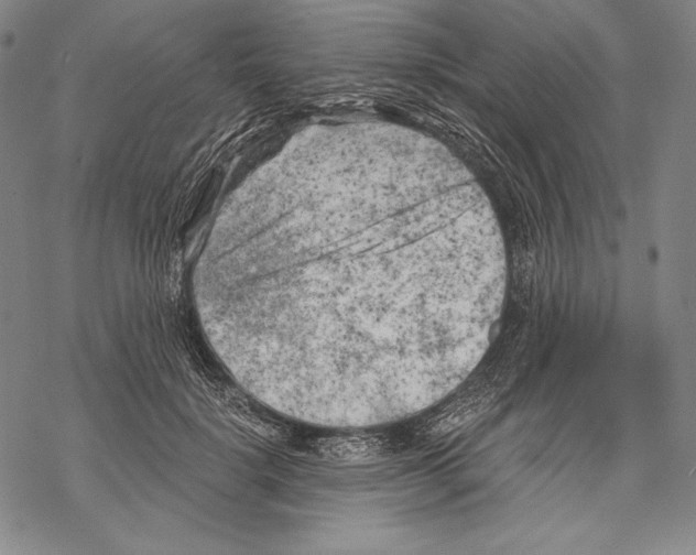 X0000068750652200605191559