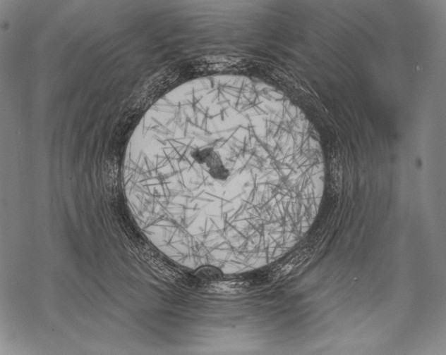 X0000068750657200605191600