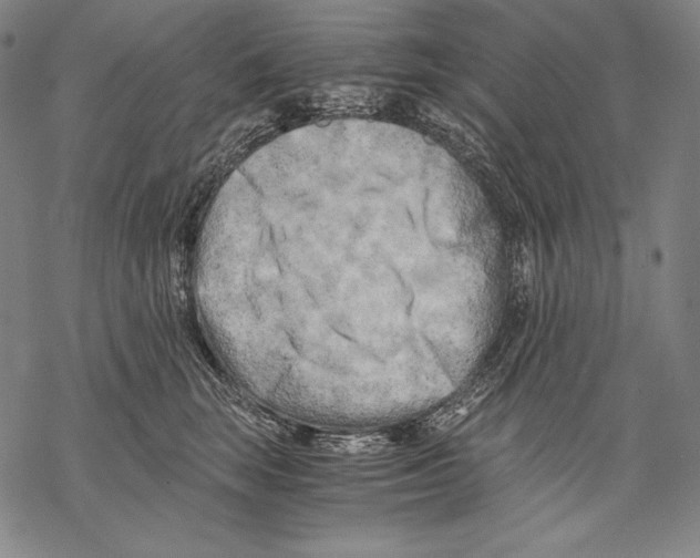 X0000068750663200605191600