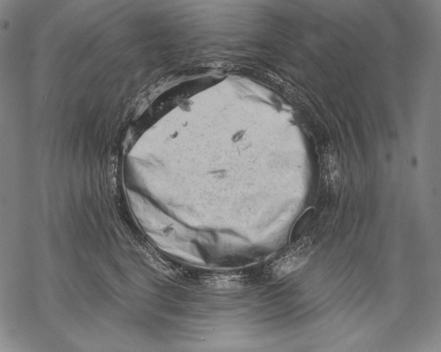 X0000068750664200605191600