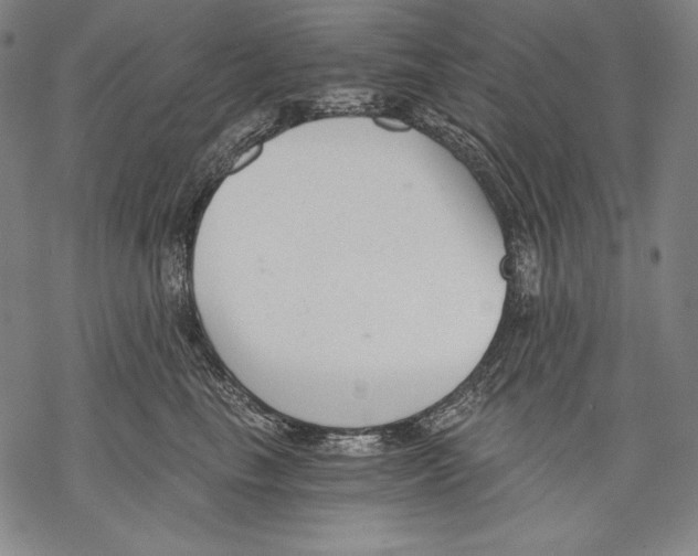 X0000068750665200605191600
