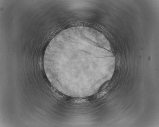 X0000068750669200605191600