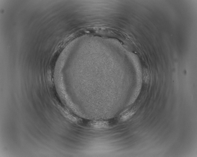 X0000068750670200605191600
