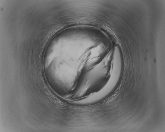 X0000068750673200605191559