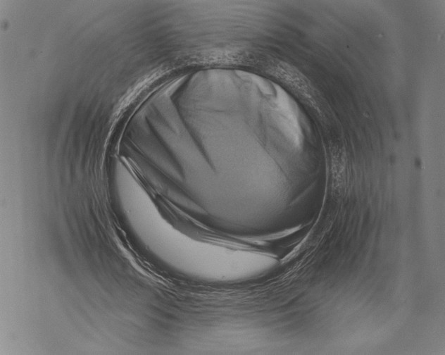 X0000068750674200605191559