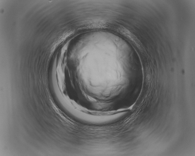 X0000068750677200605191559