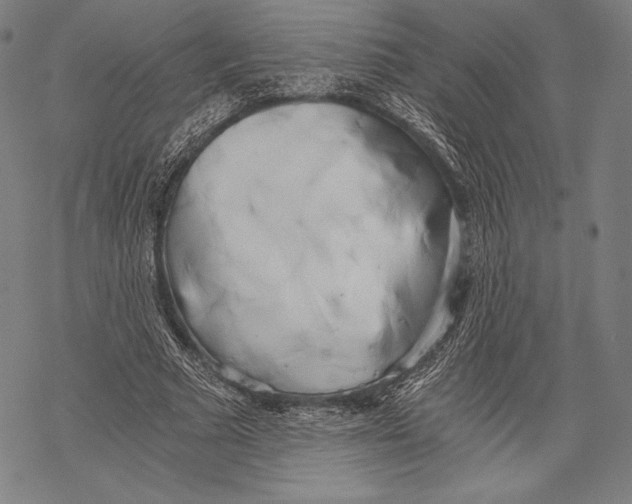 X0000068750681200605191559