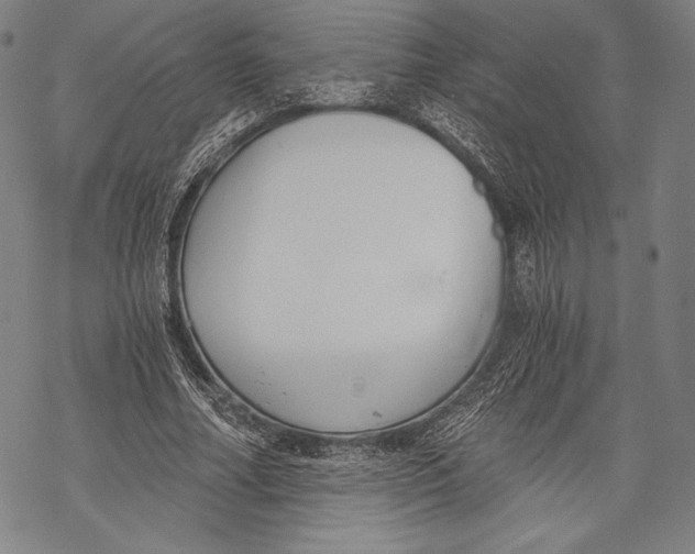 X0000068750682200605191559