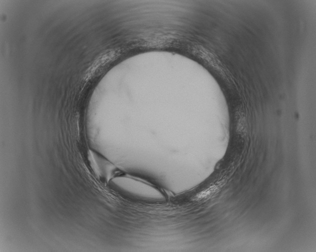 X0000068750685200605191559