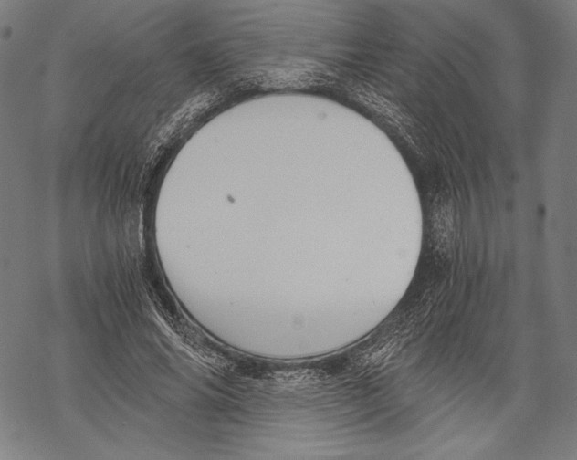 X0000068750686200605191559