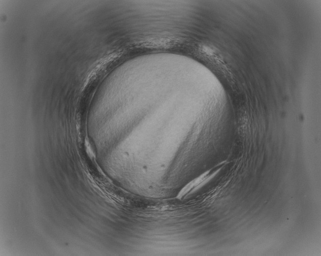 X0000068750688200605191559