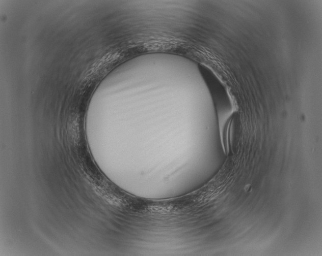 X0000068750690200605191559