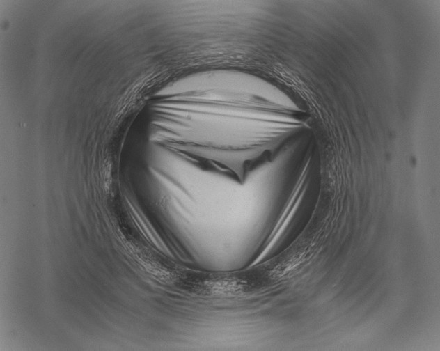 X0000068750693200605191559