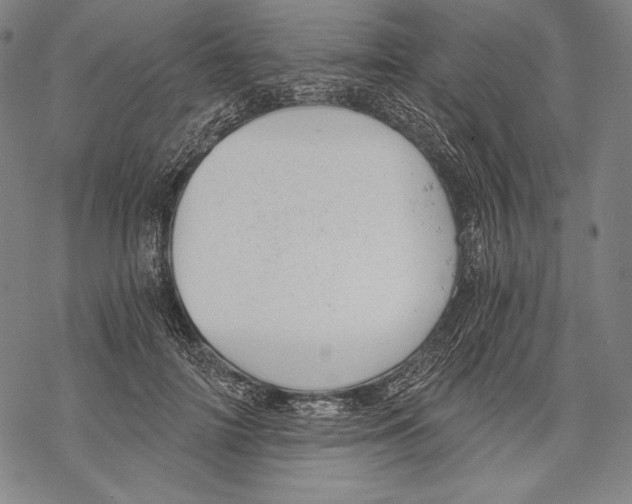 X0000068750698200605191559