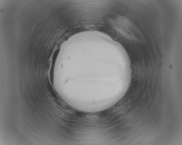 X0000068750702200605191559