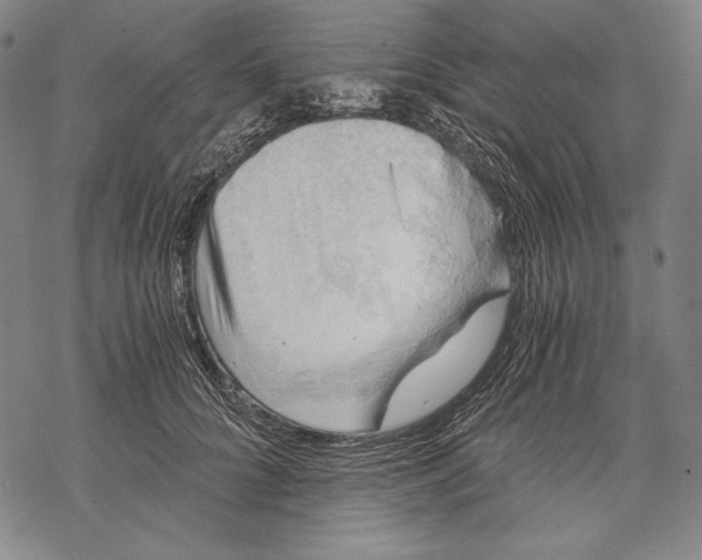 X0000068750704200605191559