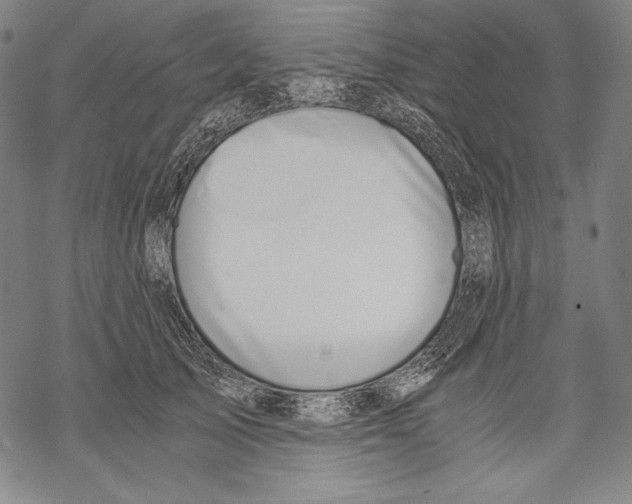 X0000068750705200605191559