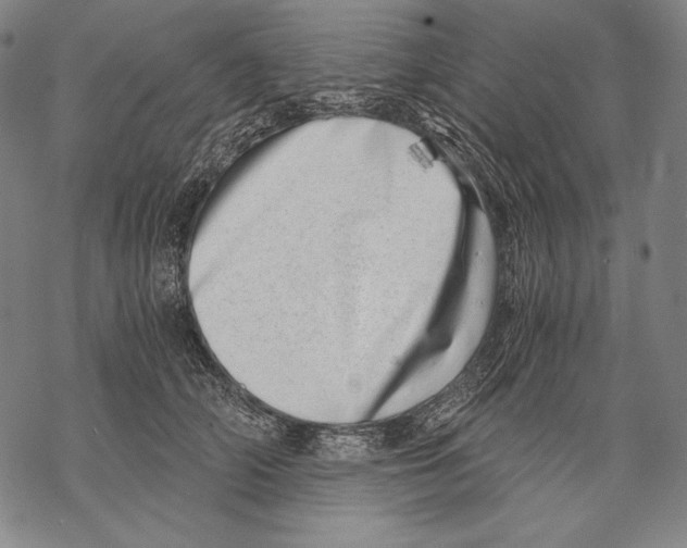 X0000068750706200605191558