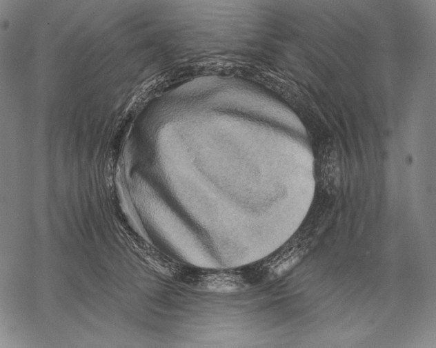 X0000068750708200605191558