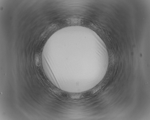X0000068750709200605191558
