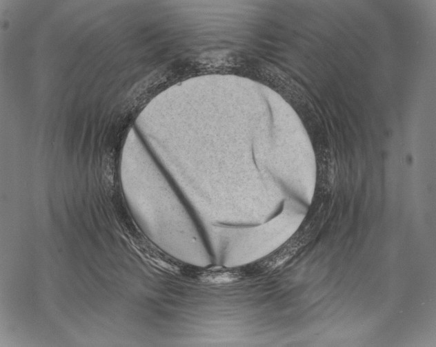 X0000068750710200605191558