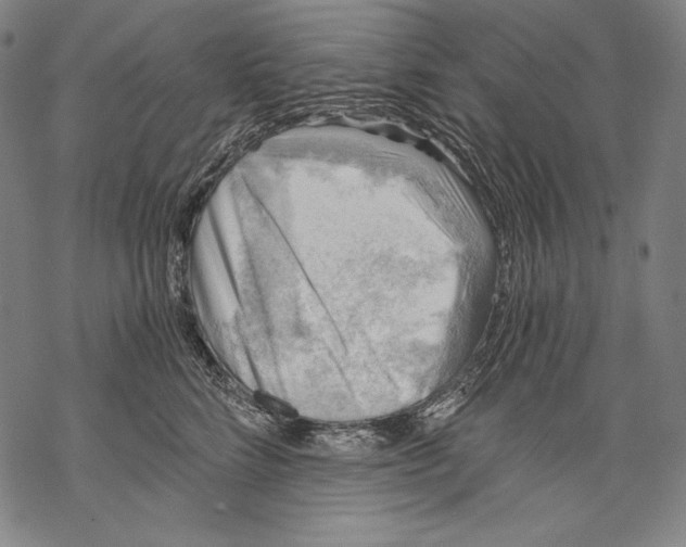 X0000068750712200605191558