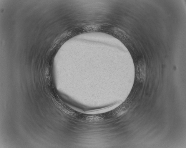 X0000068750714200605191558