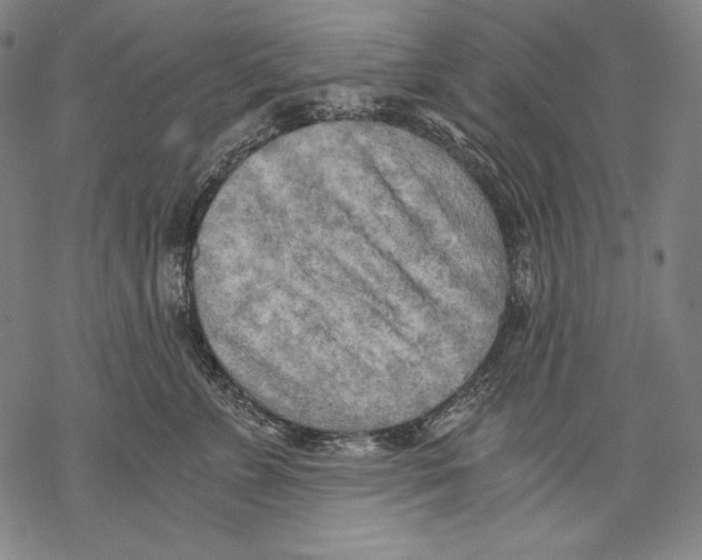 X0000068750715200605191558