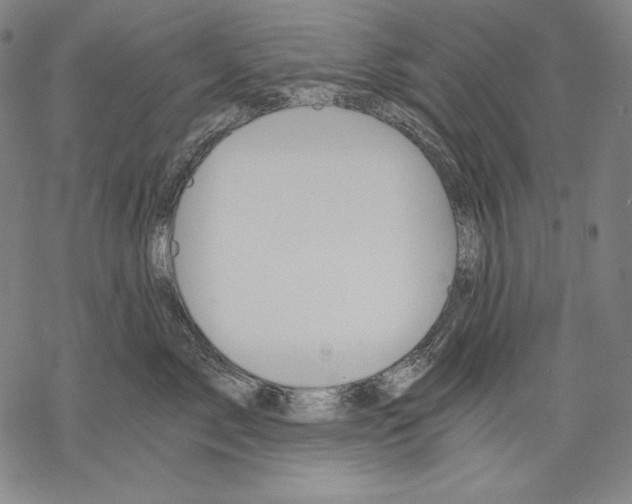 X0000068750717200605191558