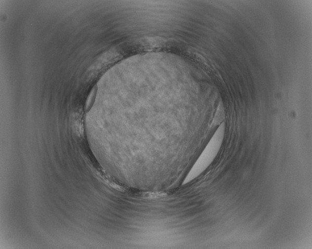 X0000068750719200605191558
