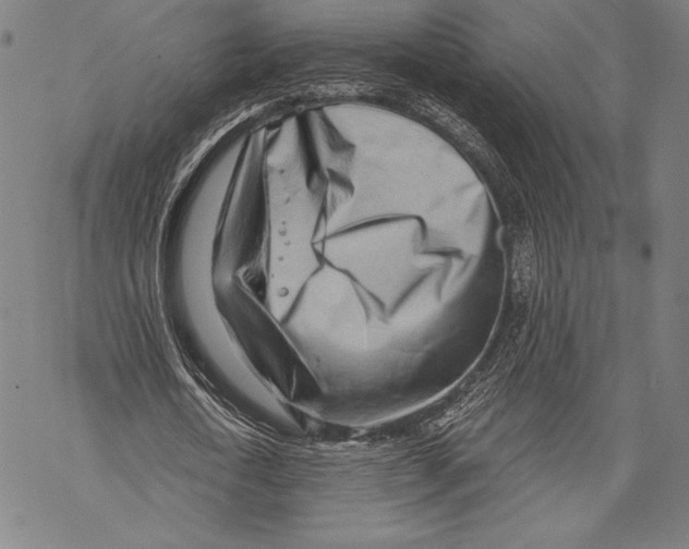 X0000068750722200605191558
