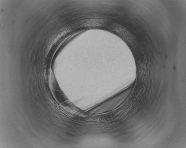 X0000068750727200605191558