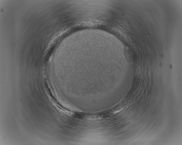 X0000068750736200605191558