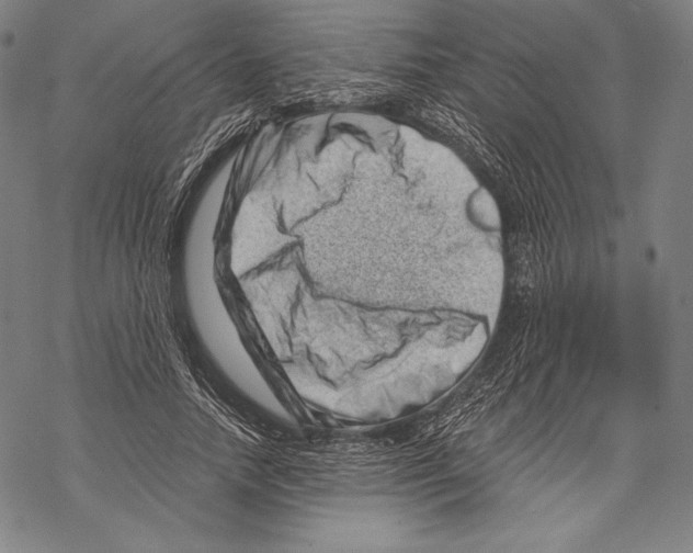 X0000068750738200605191558