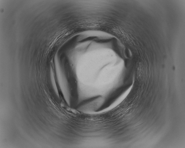 X0000068750739200605191558